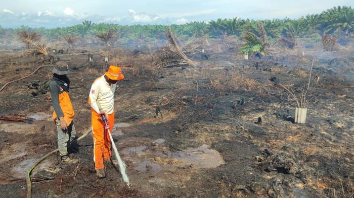 Kebakaran Lahan di Nagan Raya Berhasil Dipadamkan, BPBD Peringatkan Warga