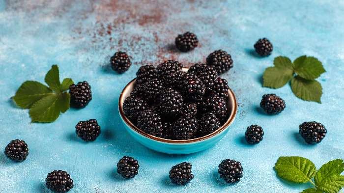 Buah beri hitam atau blackberry