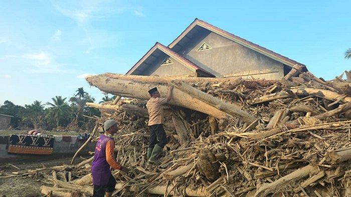 Anggota DPD RI asal Aceh, H. Sudirman atau Haji Uma, meninjau langsung kondisi Desa Gedumbak, Kecamatan Langkahan, Kabupaten Aceh Utara, yang porak-poranda diterjang banjir bandang yang dipenuhi tumpukan kayu, Jumat (5/12/2025)