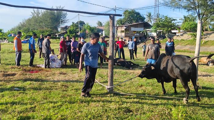 Gampong Meunasah Papeun Sembelih 34 Hewan Kurban