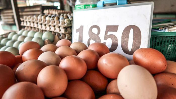 Harga Telur Masih Tinggi, Komoditas Sembako Lain di Aceh Tamiang Cenderung Stabil