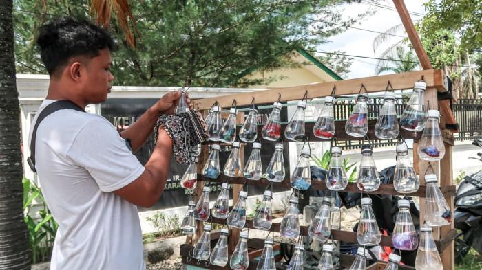 Ekonomi Lesu, Penjual Ikan Hias di Aceh Tamiang Bertahan di Tengah Sepinya Pembeli