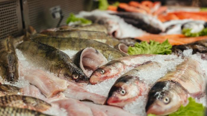 Bukan Salmon, Berikut Daftar Ikan dengan Protein Tertinggi, Banyak Dijual di Pasar, Harga Terjangkau