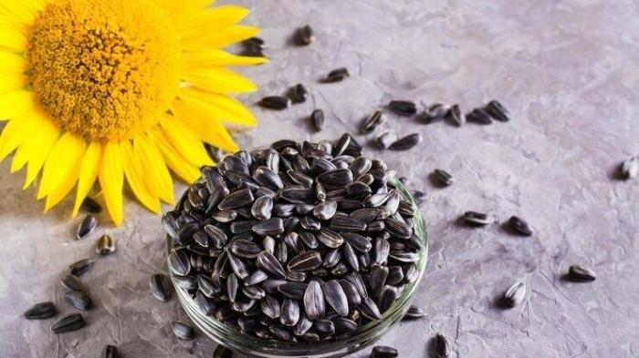 Ilustrasi biji bunga matahari, berikut ini fakta kesehatan biji bunga matahari yang bagus untuk jantung, kekebalan tubuh, dan metabolisme (health.grid.id)
