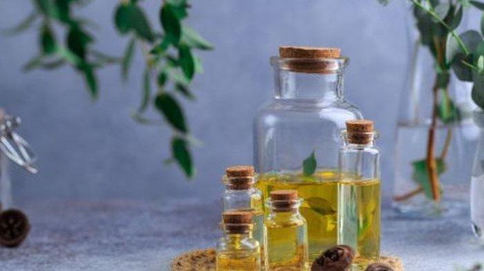 Ilustrasi minyak telon, berikut ini fakta