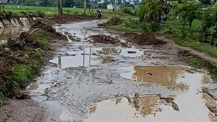 Jalan Desa Simpang Mamplam Bireuen Rusak Parah, Warga Mendesak Perbaikan