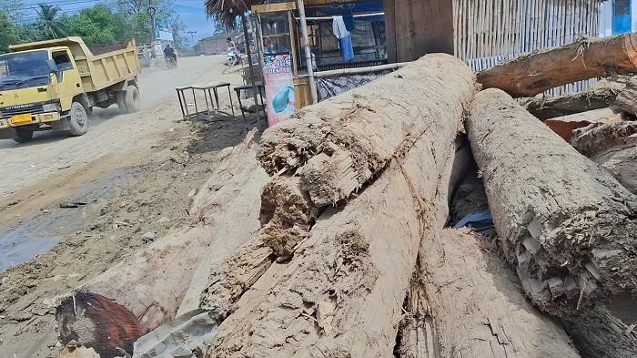 DEBU LUMPUR BANJIR : Kayu gelondongan sisa banjir menumpuk di pinggir jalan Kembang Tanjong-Kota Mini Beureunuen, Kabupaten Pidie, Jumat (5/12/2025). Saat ini, debu tebal akibat sisa lumpur banjir sangat mengganggu pengguna jalan dan rumah warga di dekat jalan.
