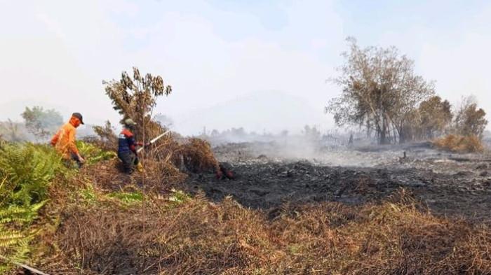 KARHUTLA - Kebakaran hutan dan lahan (karhutla) di Kabupaten Aceh Barat terus meluas.