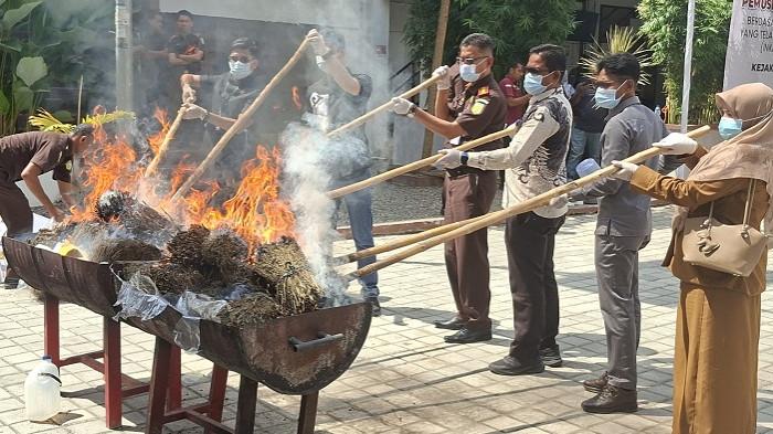 Kejari Bireuen bersama unsur lainnya, Selasa (10/2/2026) membakar ganja kering, narkotika jenis sabu  dan lainnya rangkaian pemusnahan barang bukti yang telah memiliki kekuatan hukum tetap, berlangsung di halaman tengah Kejari Bireuen.