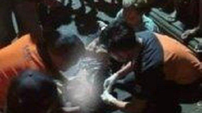 Pria Ini Pingsan Usai Benturkan Pecahan Beton ke Kepala Sendiri, Lalu Lapor Polisi Dikeroyok
