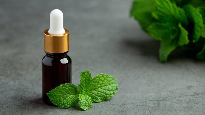 Minyak Peppermint