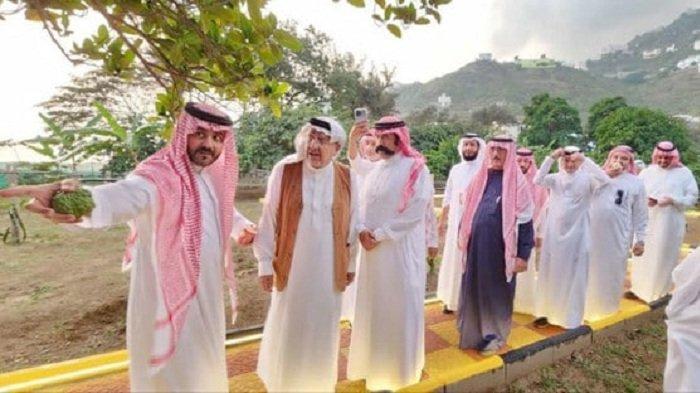 Provinsi Jazan Jadi Pusat Pertanian Pohon Cendana, Investor Diundang Melihat Potensi Harumnya Gaharu