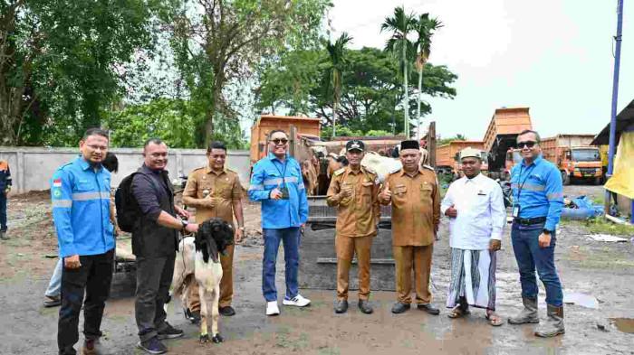 Program Qurban PT Mifa Bersaudara Sejalan dengan Program Pemerintah Aceh Barat untuk Kesejahteraan Masyarakat