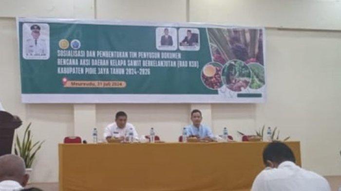 Disbunnak Pidie Jaya Susun RAD Perkebunan Sawit Berkelanjutan, Agar Tak Terkendala Terima Bagi Hasil
