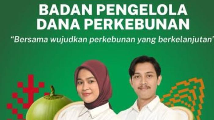 Lowongan Kerja Badan Pengelola Dana Perkebunan Kelapa Sawit, Ada 16 Posisi, Cek Syarat & Link Daftar