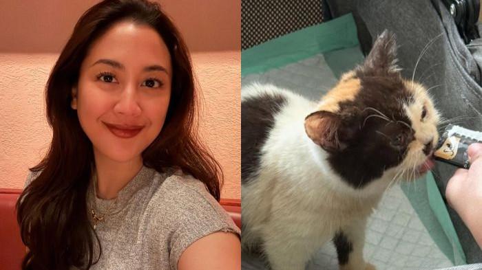 Profil Sherina Munaf, penyanyi yang amankan kucing peliharaan Uya Kuya yang rumahnya sempat digeruduk massa