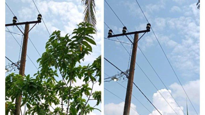 Listrik Masih Sering Padam dalam Bulan Puasa di Aceh Timur, PLN Berdalih Gegara Pohon Tumbang