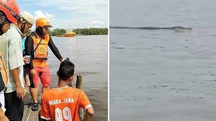 Kronologi Video Viral Buaya Antar Jenazah Balita ke Pinggir Sungai, Ternyata Sudah 3 Kali Terjadi