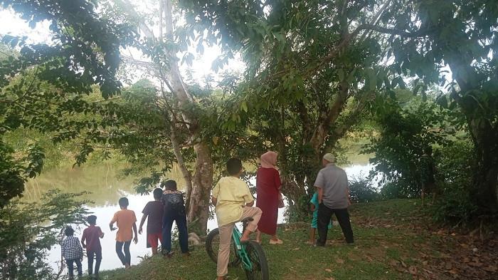 Santai Berjemur, Buaya di Krueng Meureubo-Aceh Barat Jadi Tontonan Warga