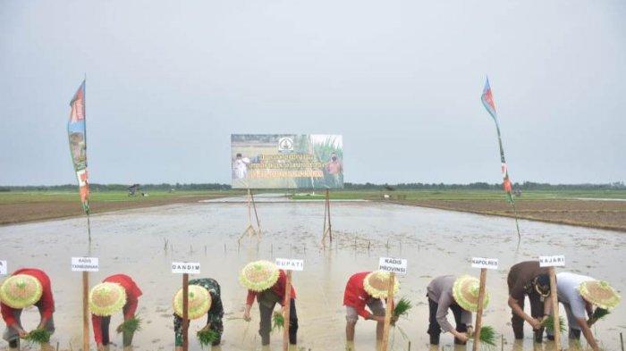 Aceh Tamiang Prediksi Surplus Beras, Tetapi Ini Syaratnya Hingga Minta Dukungan Bulog