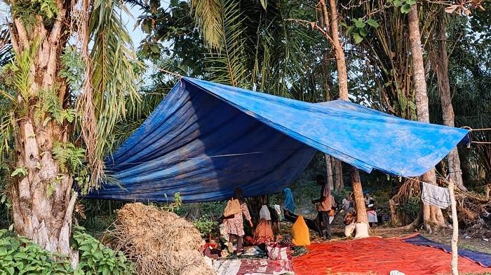 Masyarakat mendirikan tenda dan memblokade jalan masuk PT. Bumi Flora, aksi ini dilakukan boleh masyarakat dan petani Gampong Alue Lhok, Kecamatan Idi Tunong akibat permasalahan konflik lahan, Sabtu (24/1/2026).