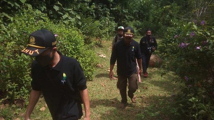 Harimau Tak Terlihat Lagi, Warga Kembali Beraktivitas