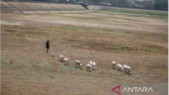 Indonesia dan Dunia Berkolaborasi Atasi Krisis Iklim