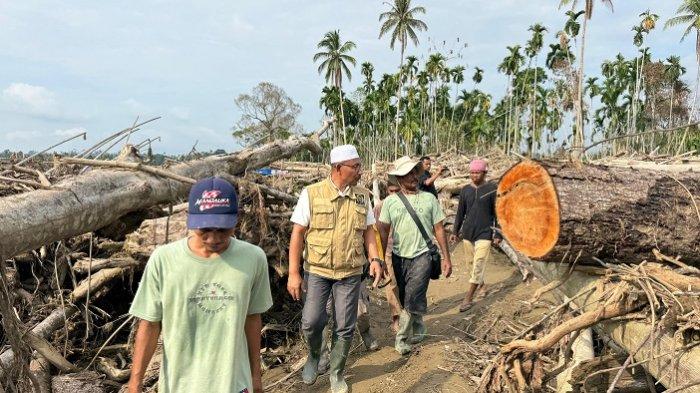 Anggota DPD RI asal Aceh, H. Sudirman atau Haji Uma, S.Sos, kembali menyalurkan bantuan kemanusiaan kepada korban banjir yang masih berada di tenda pengungsian di Desa Sah Raja Kecamatan Pante Bidari Kabupaten Aceh Timur juga sebagian di sumbang oleh komonitas Aliansi Mahasiswa Jambi . Selasa (6/1/2026).