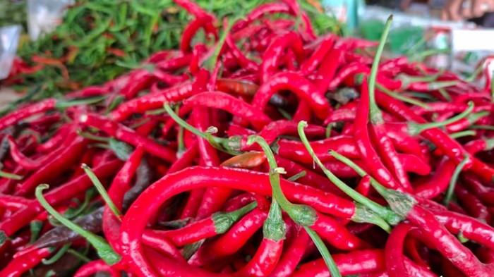 Tips Mudah Hilangkan Rasa Panas di Tangan Akibat Cabai, Cukup Pakai Bahan Dapur