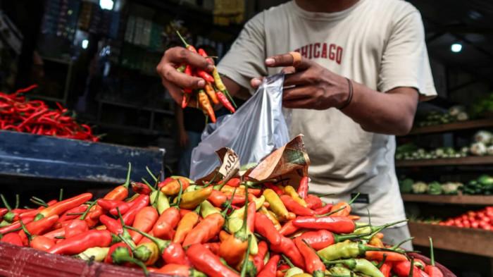 Harga Cabai di Aceh Tamiang Mulai Turun, Cabai Rawit Rp26 Ribu Per Kilogram