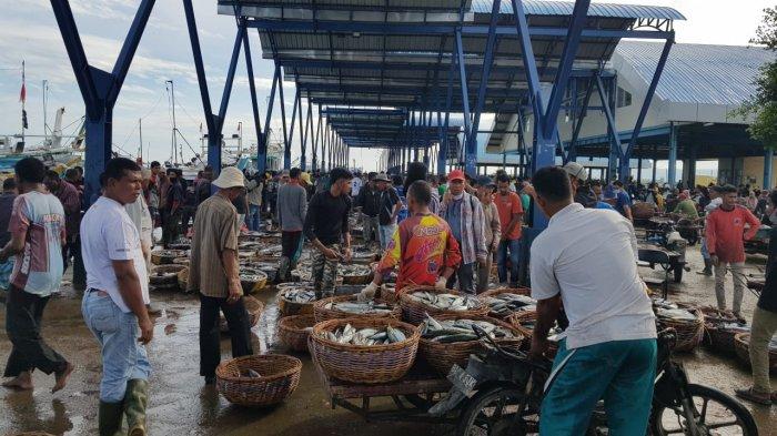 Yuk, Berburu Ikan Tongkol Murah di PPS Lampulo