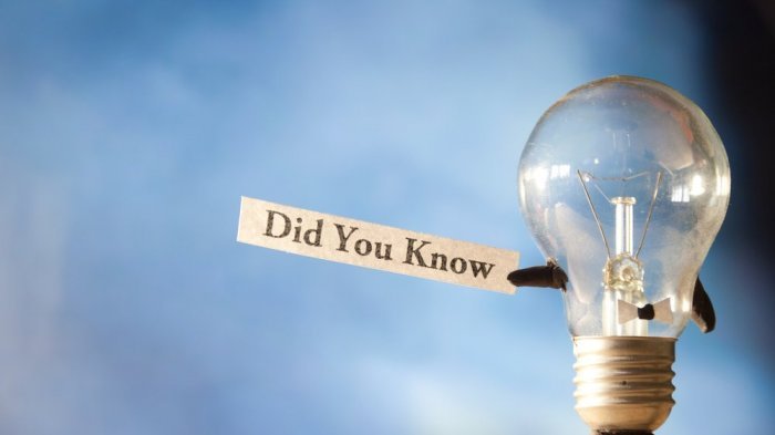 6 Fakta Unik tentang Dunia yang Jarang Diketahui, Termasuk Film yang Tak Akan Pernah Kita Lihat