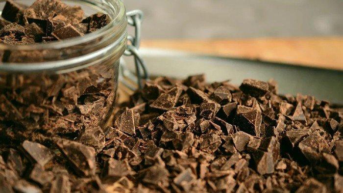 Ilustrasi cokelat hitam atau dark chocolate.