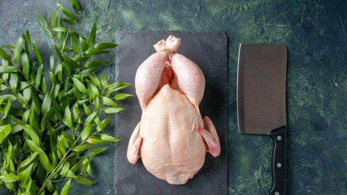 ilustrasi daging ayam, makanan tinggi triptofan yang dapat meningkatkan kualitas tidur (freepik/mdjaff)