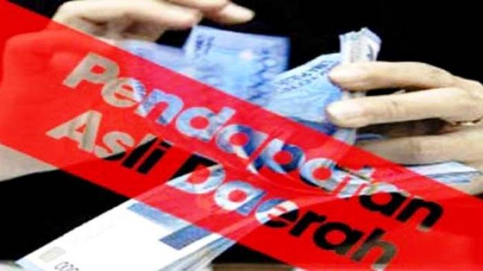 Sentuh Angka Rp 21 Miliar, Ini SKPK Penyumbang PAD Pidie Jaya dan Pencapaiannya