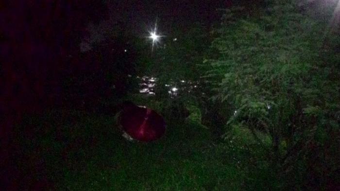 Semak-semak Bergoyang Hebohkan Warga saat Tengah Malam, Temuan 2 Celana Dalam Jadi Petunjuk