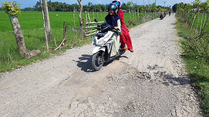 Jalan Meunasah Papeun Rusak