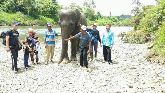 Dua Tahun Rusak, Warga Minta Jalan Menuju CRU Serbajadi Diperbaiki, Ada Jembatan juga Patah