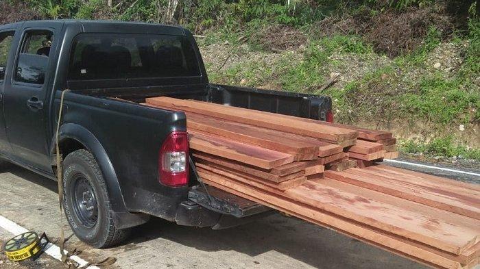 Tukang Becak Pengangkut Kayu Damar Ditangkap