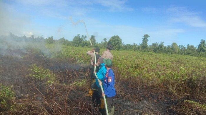 Kebakaran Lahan Meluas di Nagan Raya, Diduga Areal Perusahaan yang Ditelantarkan