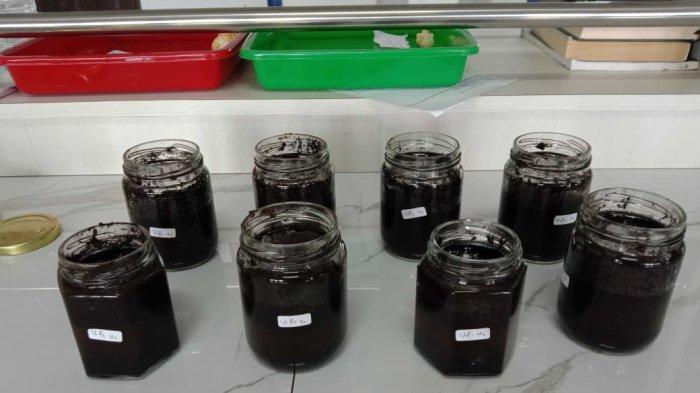 KTS Kembangkan Pupuk Organik dari Cangkang Sawit, Terbukti Perbaiki pH Tanah