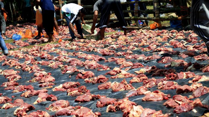 Ibadah Kurban pada Masa Kerajaan Aceh