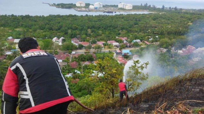 Lagi, Kebakaran Lahan Seluas Tujuh Hektare Terjadi di Perbukitan Lhokseumawe