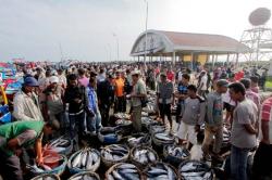 Gubernur Resmikan Pelabuhan Lampulo