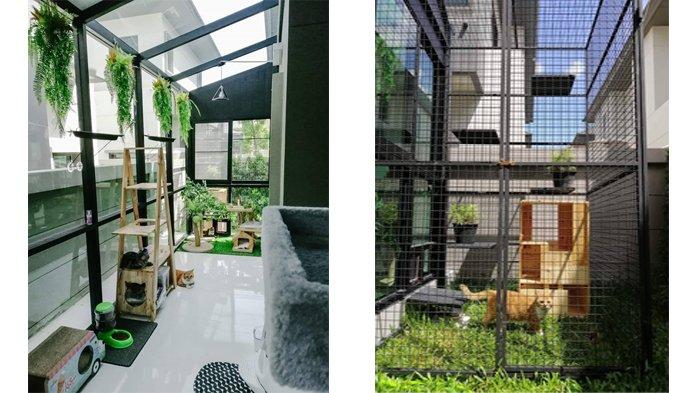 Tampak bagian dalam rumah kucing yang dihiasi tanaman dan disertai kandang burung. (FACEBOOK DATTAKITT CATTERY)