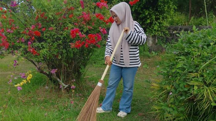 Keren! DLHK Sabang Bangun Kebun Bibit Tanaman Hias untuk Percantik Kota