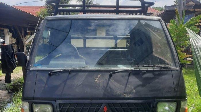 Warga Pidie Gagalkan Pencurian 7 Kerbau Saat Dinaikkan ke Pikap, Pelaku Kabur dan Diburu Polisi