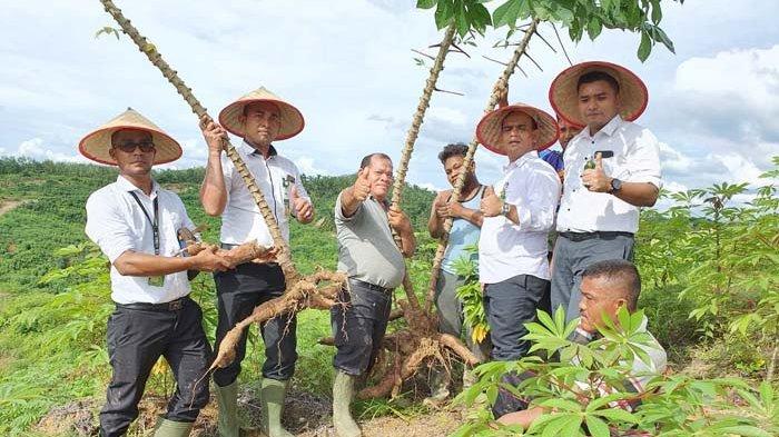 Komitmen untuk Membantu UMKM