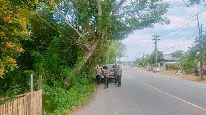 Warga Adukan Pohon Berpotensi Tumbang ke Jalan di Kawasan Lhoksukon, Polisi ke Lokasi