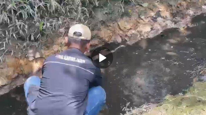 DLH Nagan Raya Kirim Sampel Air Krueng Trang ke Laboratorium BSPJI Banda Aceh, Selidiki Pencemaran